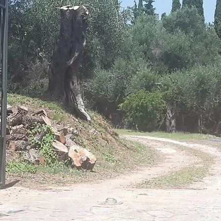 Διαμέρισμα Bella Vista Κάτω Κορακιάνα
